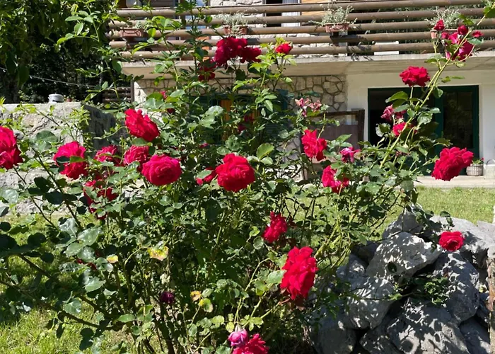 Sanmari_forest Σαλέ Ledenice